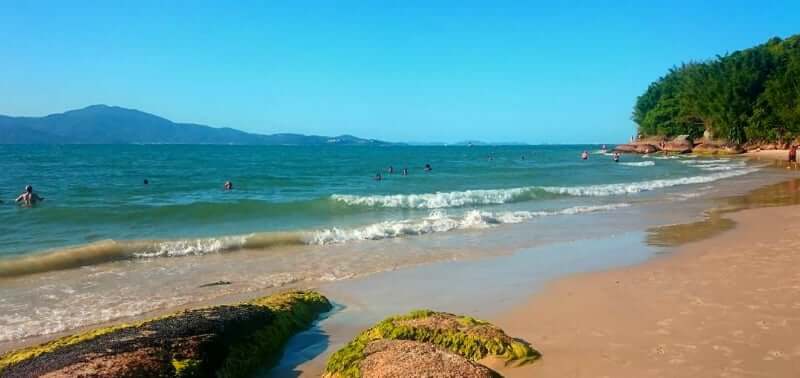 Praias do norte de Florianópolis: Praia da Daniela