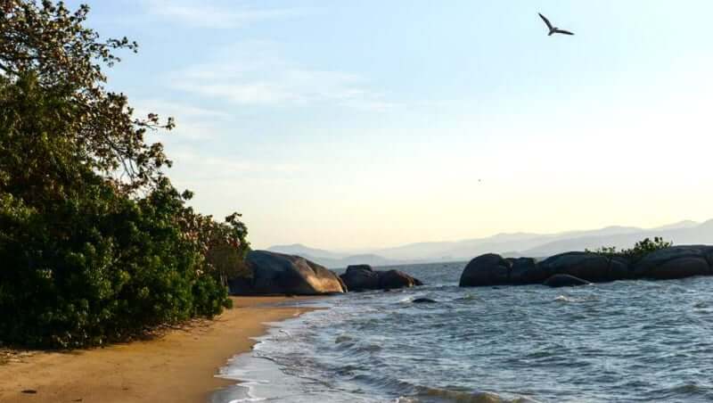 Praias do norte de Florianópolis: Praia de Cacupé 