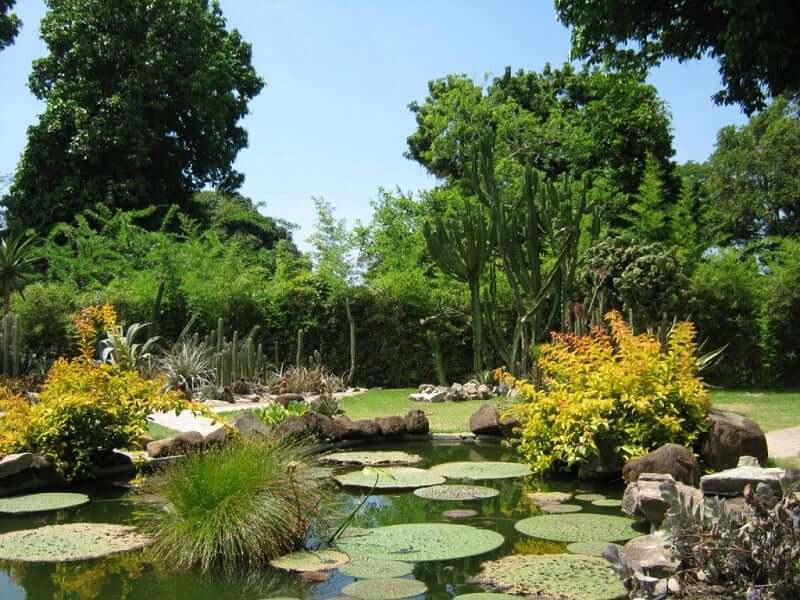 Jardim Botânico no Rio de Janeiro 