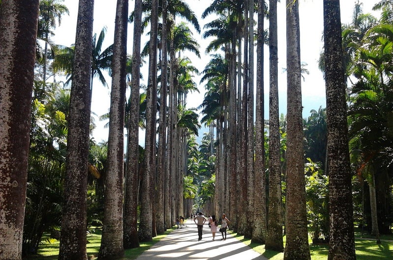 Jardim Botânico no Rio de Janeiro