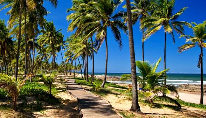 Praia do Flamengo em Salvador: Cercada de Coqueiros