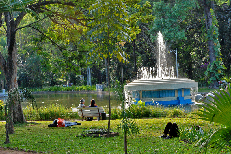 Parque Municipal Américo Renné Giannetti em Belo Horizonte: Áreas de lazer