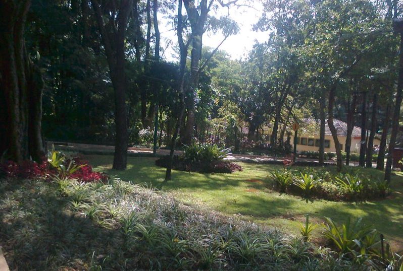 Museu de História Natural da UFMG em Belo Horizonte: Jardins