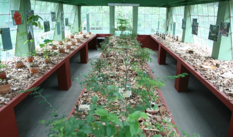 Museu de História Natural da UFMG em Belo Horizonte: Jardim sensorial