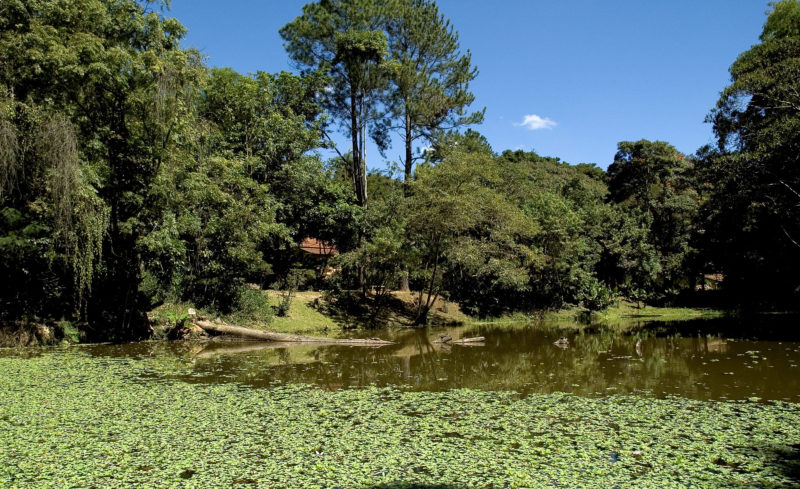 Museu de História Natural da UFMG em Belo Horizonte: Áreas do Horto Florestal