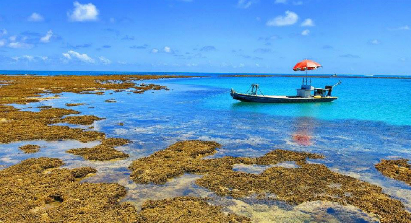 Passeios românticos em Maceió: Rota Ecológica da Costa dos Corais